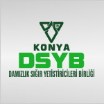 Konya Damızlık Sığır Yetiştiricileri Birliği